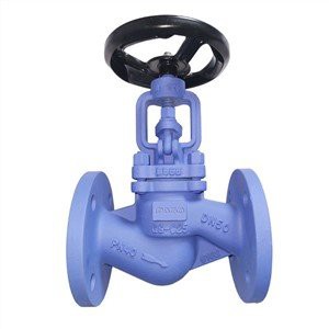 Din Globe Valve