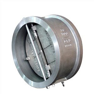 Dual Plate Wafer Rückschlagventil
